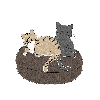 いまじ ねこ
