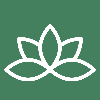 shino2345