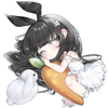 riyu_cott