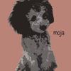 maggie DesignFactory