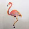 flamingooo