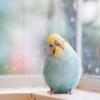 うみそら