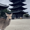 なみっち11