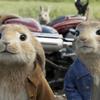 Peter_Rabbit