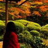 管理栄養士ぼぶこ