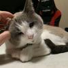ねぇーやん