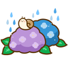 紫雨露