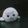 あらい。