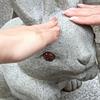 はるっぺ〰️