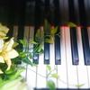 彩音ピアノ教室