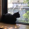 zzzndn
