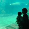 ダイエー