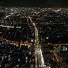 アンズ555