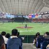 Baseball Adviser