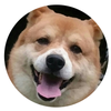 田口あきら
