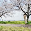 HaRuSakurako