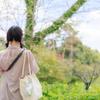 こいと￤教育系シナリオライター
