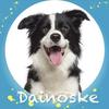 1dainoske1