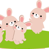 peterrabbit