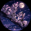 夜ノ桜ꕤ︎︎