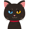 黒猫333