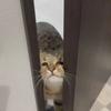 ラフにお話しましょう