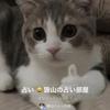 猫山ニャン太郎