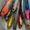 釣り方教えます　初心者さん大歓迎
