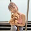 Dog Confiance 内山