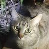 優しいひと