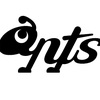 ants