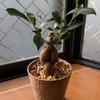 UI工芸
