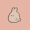 shiroca