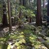 名前のことだま研究家　やすこ