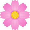 ❇︎秋桜❇︎