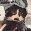 おねこちゃん