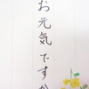 Ten_chiku_hoz