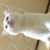 なみか27