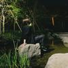 Nanato │ 動画クリエイター