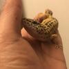なやむ〜ん