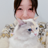 MMえむえむちゃん