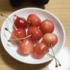 沙良田蒸す芽