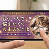 ナッキー1