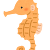 コツコツシードラゴン