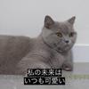 永瀬　愛莉