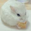 濱田一成