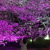 依愛 えあ
