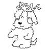 axxo