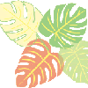 PONOPO