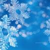 丹野 光雪